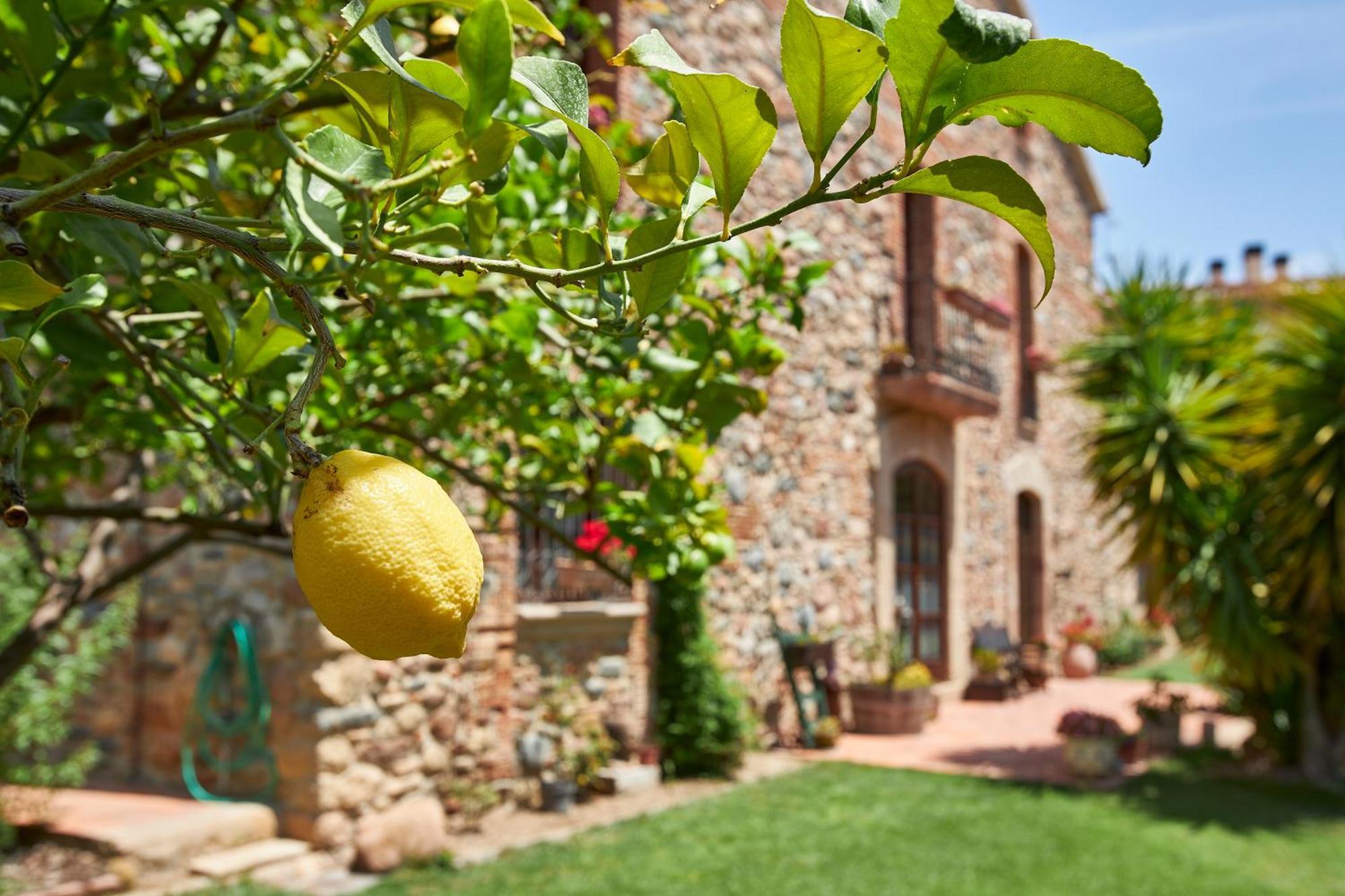 Hotel Rincon De Piedra Bcn Corro de Vall Zewnętrze zdjęcie